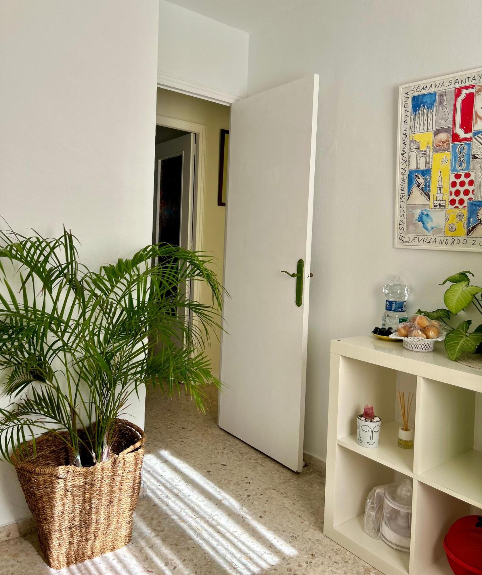 Arco Macarena Apartment Севиля Екстериор снимка